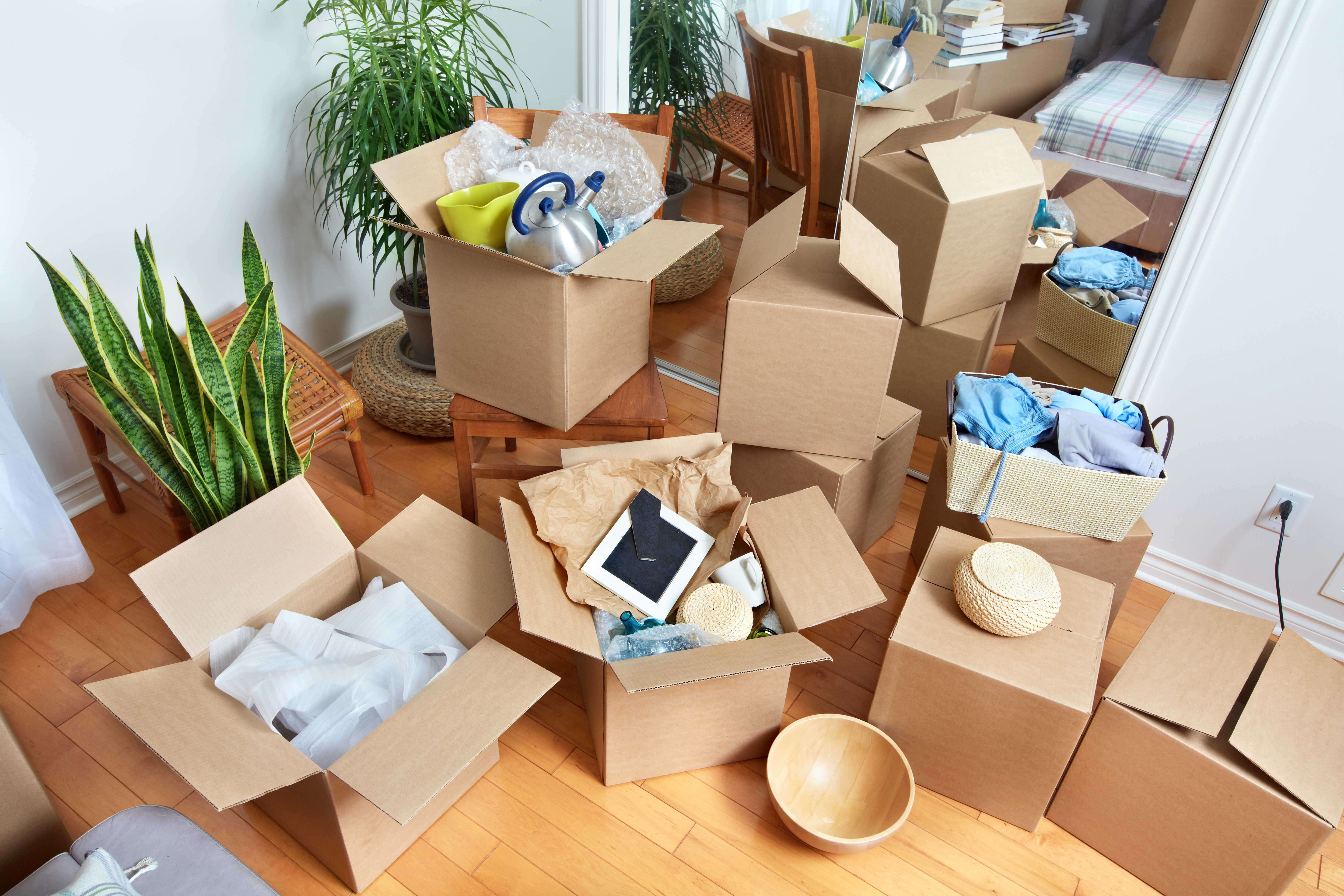 Trasloco organizzato: come riempire gli scatoloni in modo intelligente